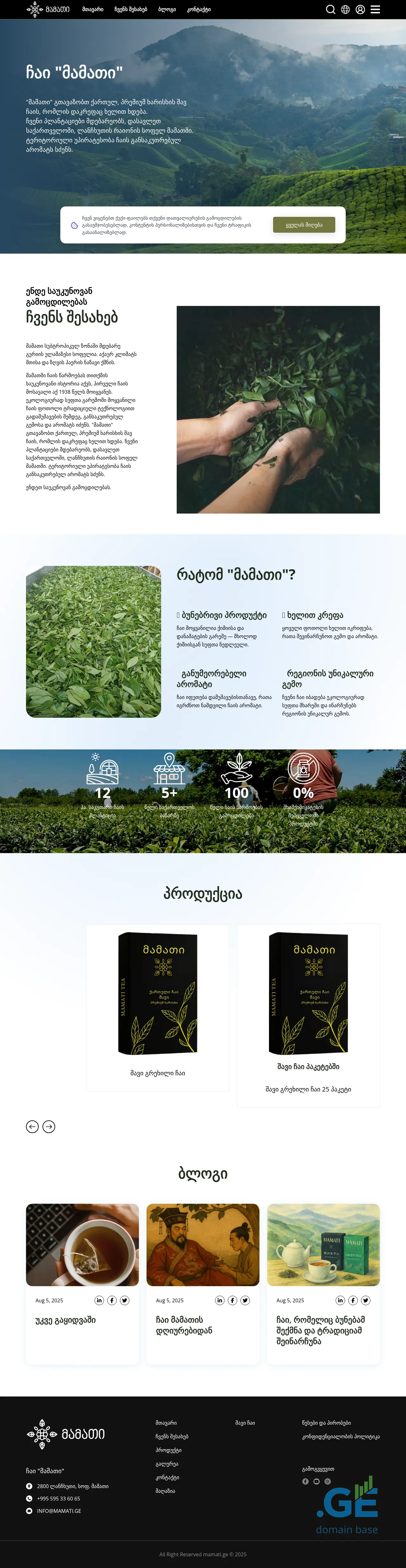 Screenshot of the site mamati.ge