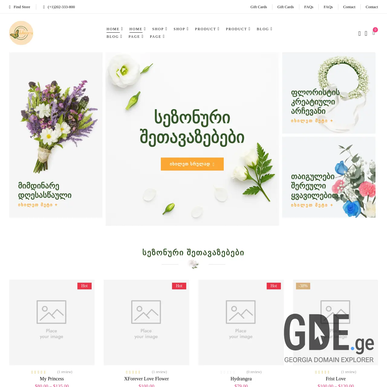 Screenshot of the site maniola.ge at 2025-12-11