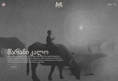 სურათი 09.12.2025-დან