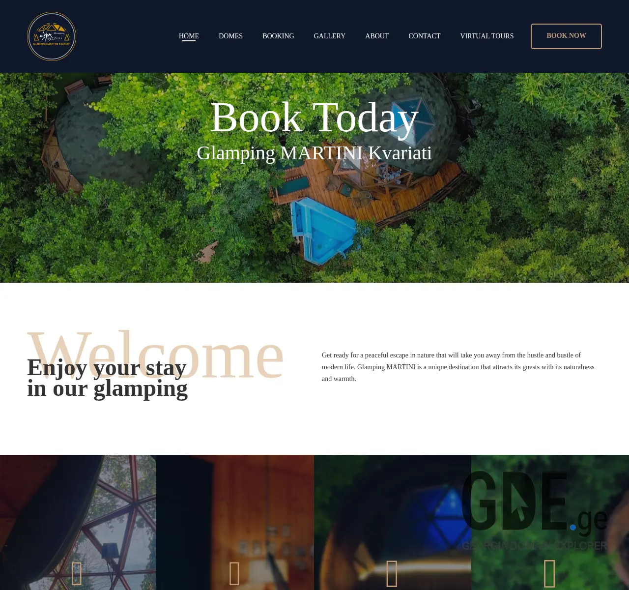 Screenshot of the site martini.ge at 2025-11-26