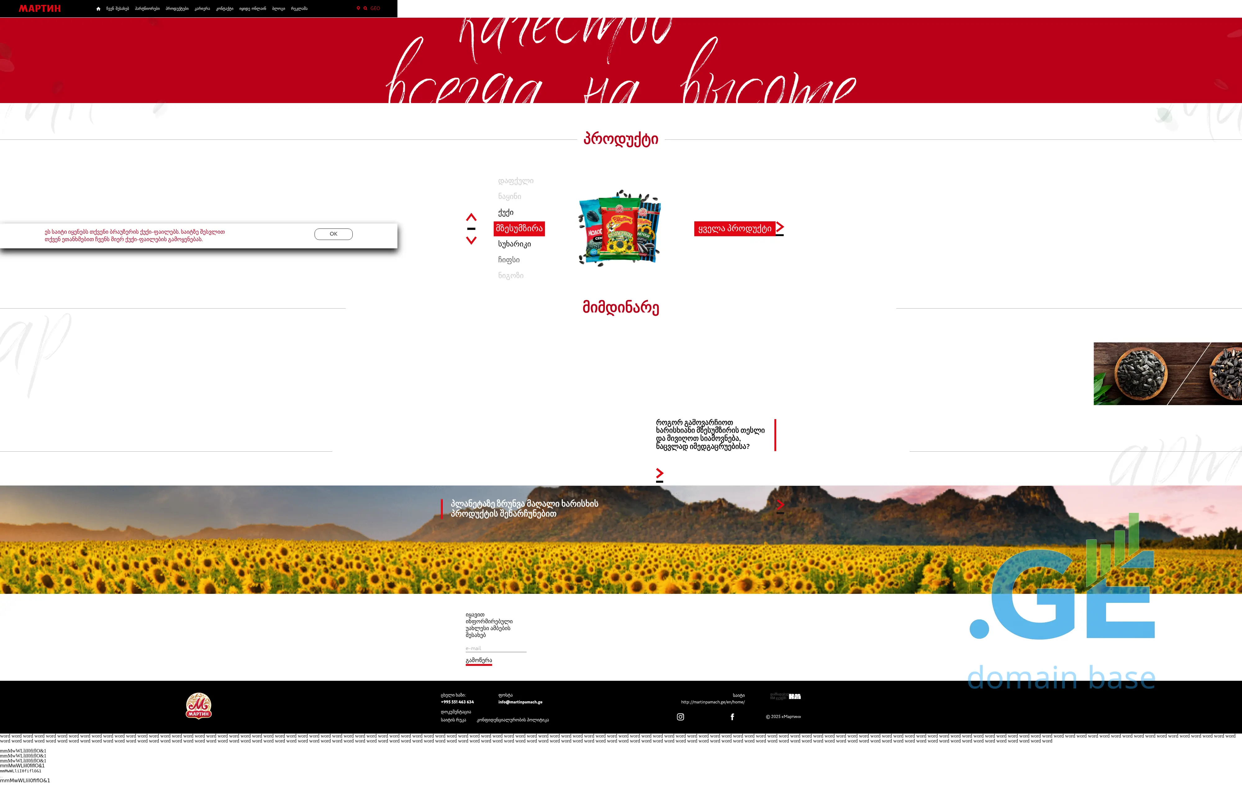 Screenshot of the site martinpamach.ge