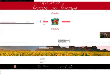 Screenshot of martinpamach.ge