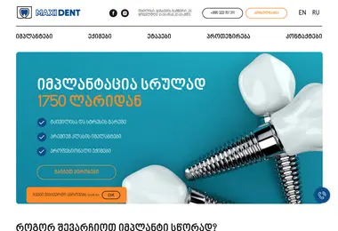 Screenshot of maxident.ge