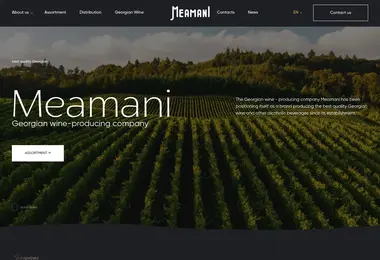 Screenshot of meamani.ge