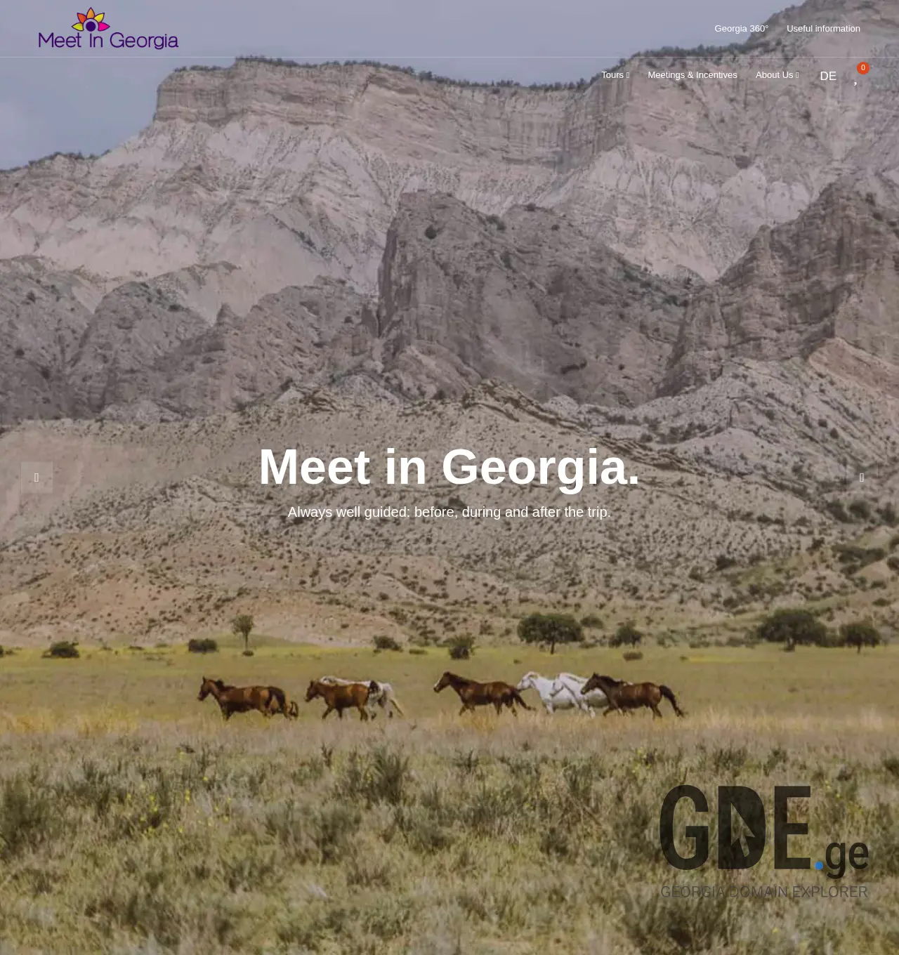 Screenshot of the site meetingeorgia.ge at 2025-12-01