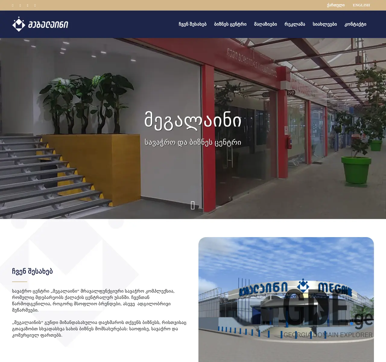 Screenshot of the site megaline.ge at 2025-11-26