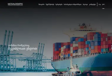 Screenshot of megalogistic.ge