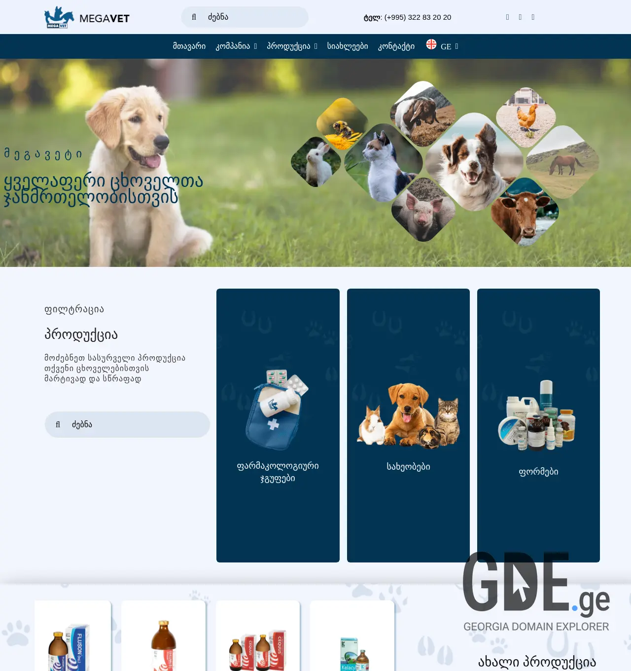 Screenshot of the site megavet.ge at 2025-11-29