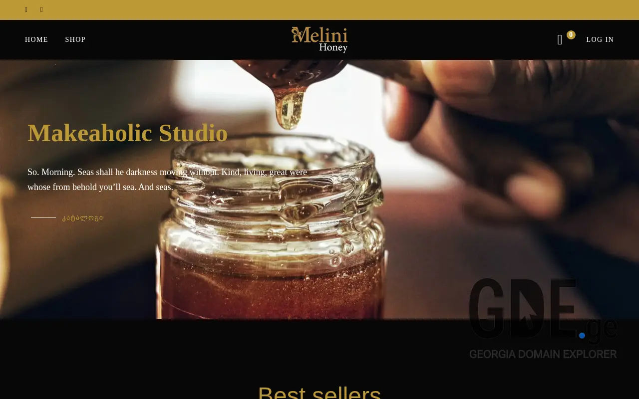 Screenshot of the site melini.ge at 2025-11-29