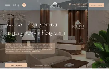 Screenshot of meloso.ge