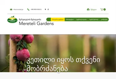 Screenshot of mereteli.ge