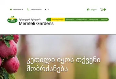 mereteli.ge-ის ეკრანის სურათი