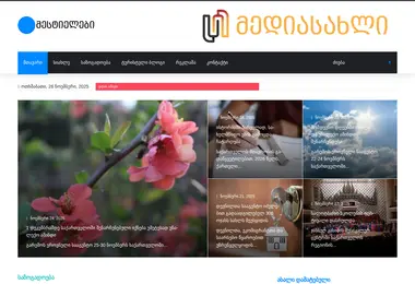 mestielebi.ge-ის ეკრანის სურათი