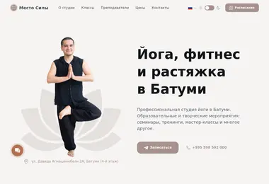 Screenshot of mestosily.ge