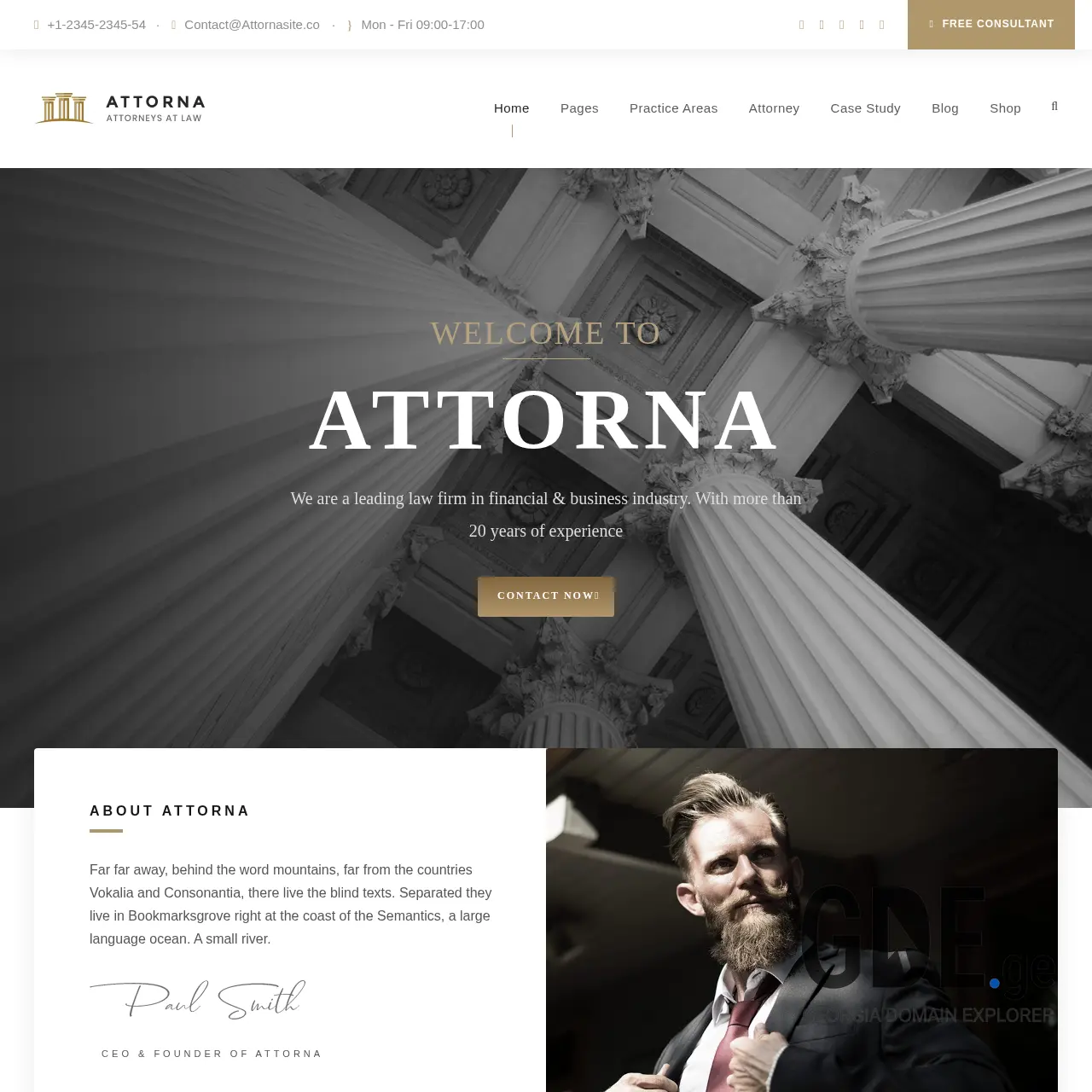 Screenshot of the site mglawyer.ge at 2026-01-08