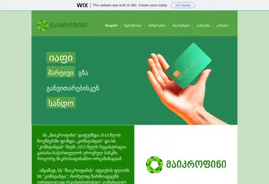 Screenshot of microfin.ge