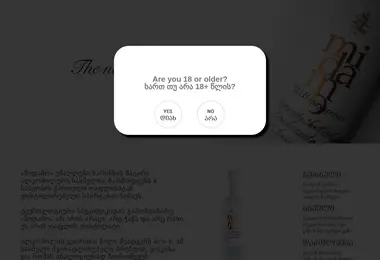 midamo.ge-ის ეკრანის სურათი