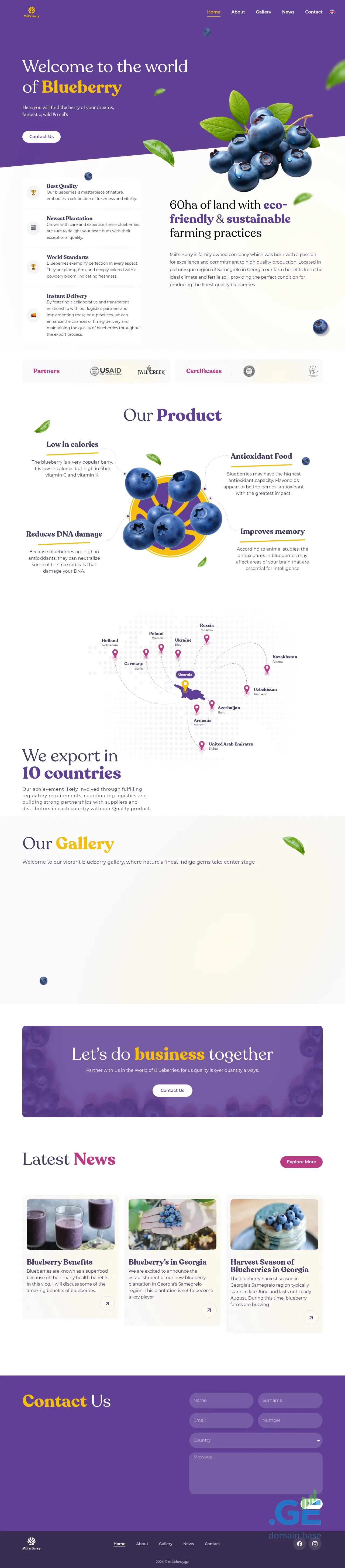 Screenshot of the site miilsberry.ge