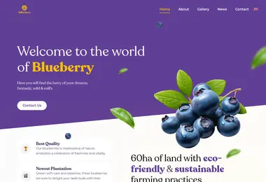 Скриншот miilsberry.ge