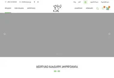 Screenshot of milorauli.ge