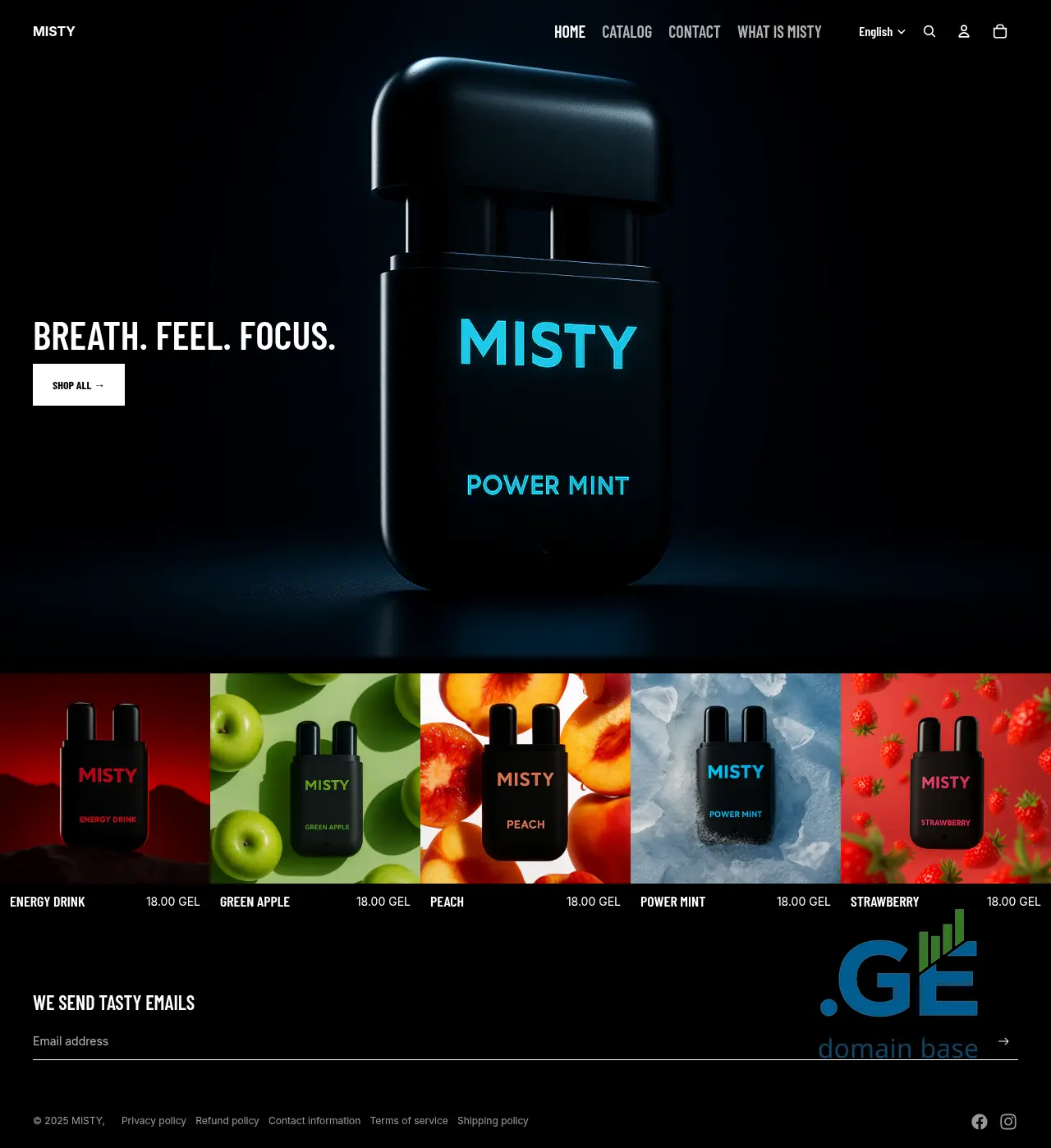 Screenshot of the site mistyco.ge
