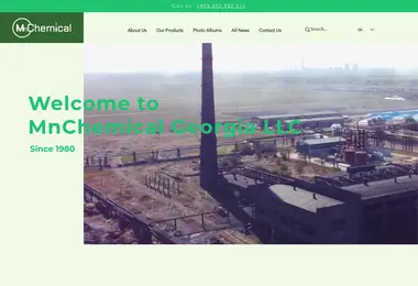 Screenshot of mnchemical.ge