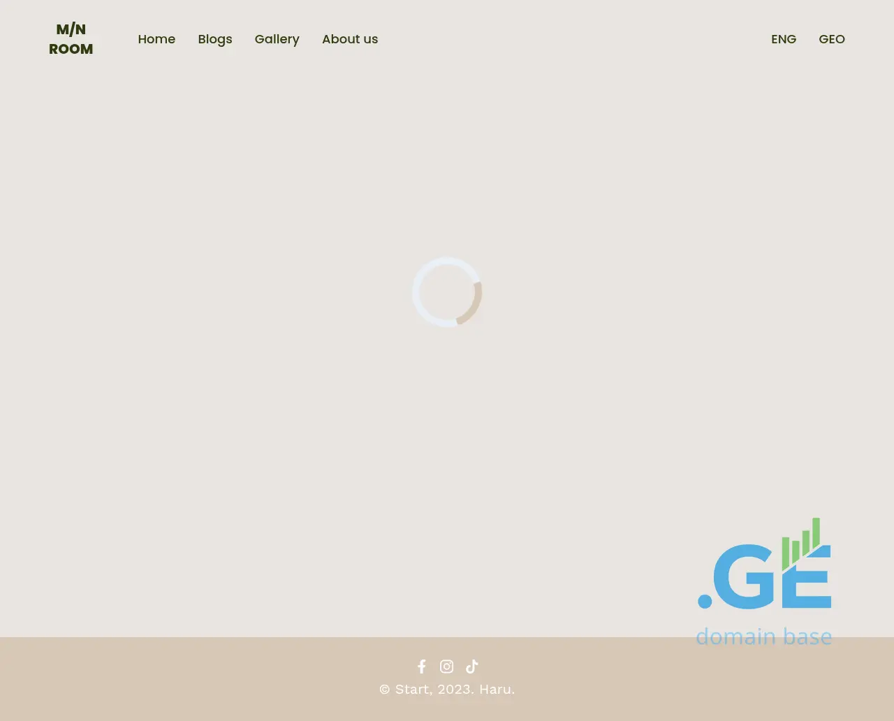 Screenshot of the site mnroom.ge
