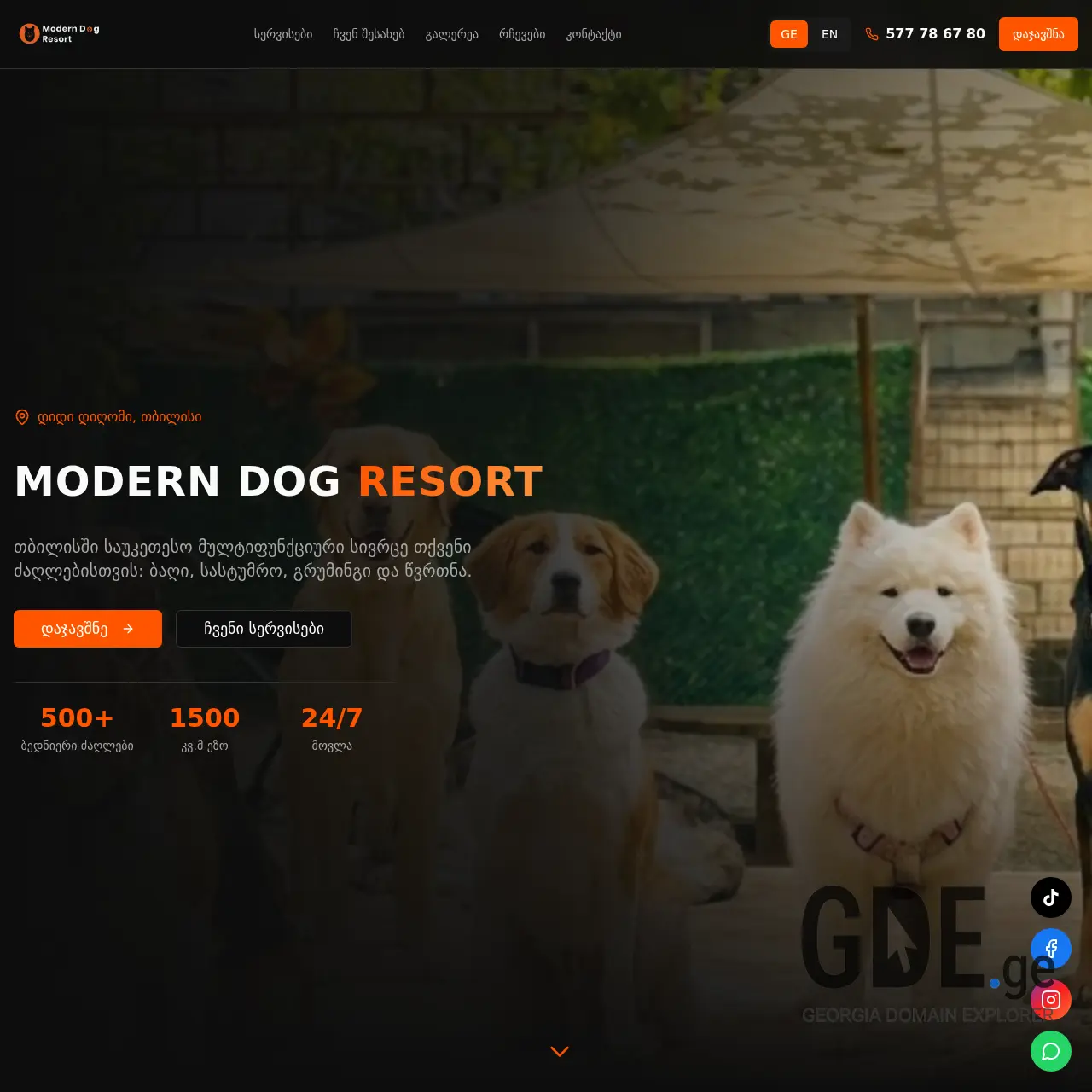 Screenshot of the site moderndog.ge at 2026-01-19