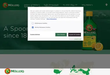 Screenshot of mollers.ge