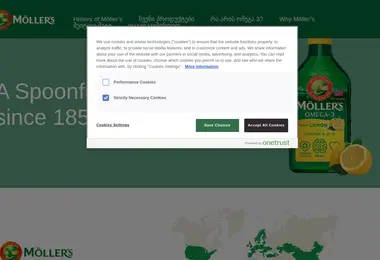 Screenshot of mollers.ge