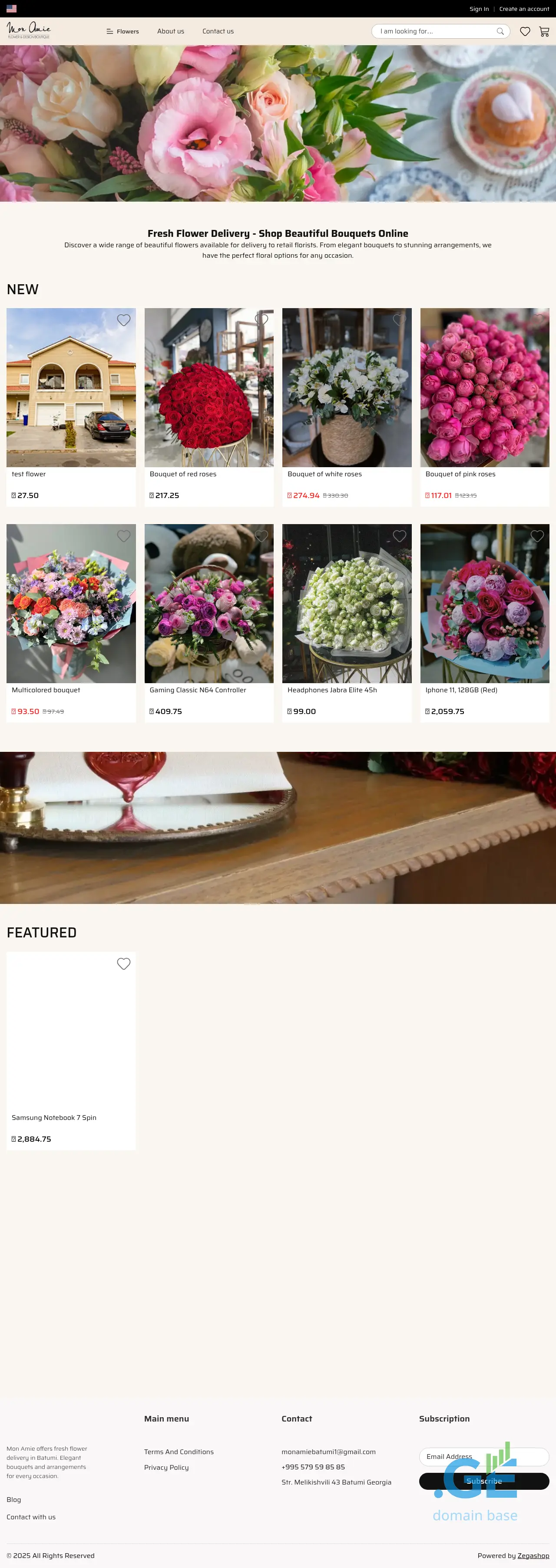Screenshot of the site monamie-batumi.ge