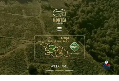 montea.ge-ის ეკრანის სურათი
