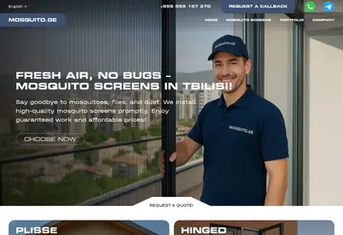 Screenshot of mosquito.ge