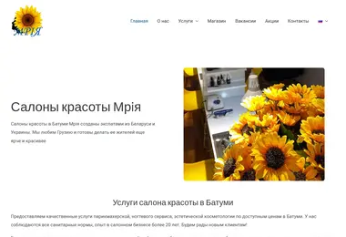 Screenshot of mriya.ge