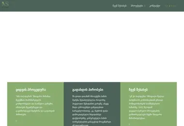 Скриншот ms.ge