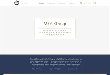 msagroup.ge-ის ეკრანის სურათი