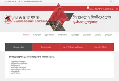 Screenshot of mscollege.ge
