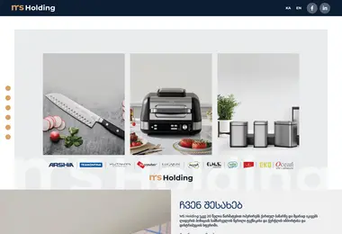 Screenshot of msholding.ge