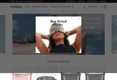 Screenshot of mulberry.ge