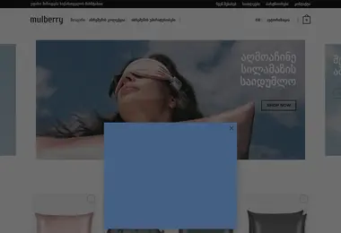 Screenshot of mulberry.ge