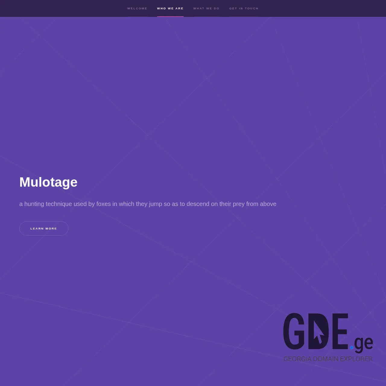 Screenshot of the site mulota.ge at 2025-12-12