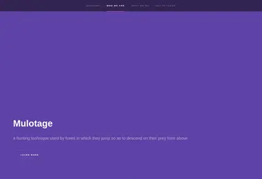 Preview from 12.12.2025