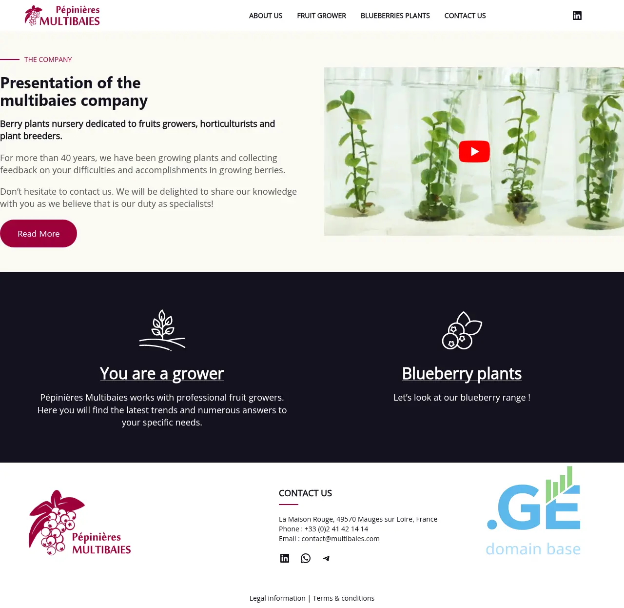 Screenshot of the site multibaies.ge