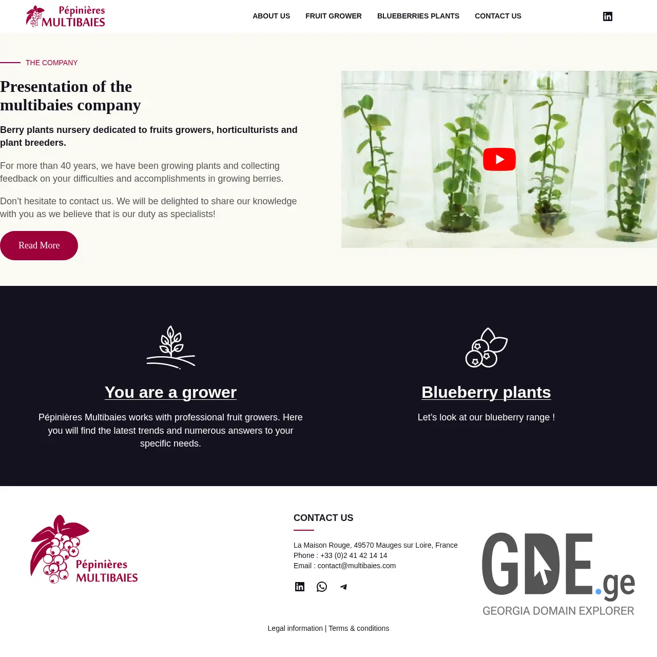 Screenshot of the site multibaies.ge at 2025-12-12