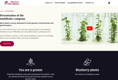 Preview from 12.12.2025