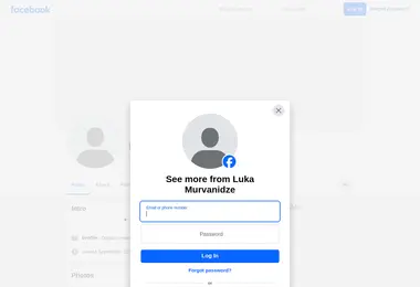Screenshot of murvanidze.ge