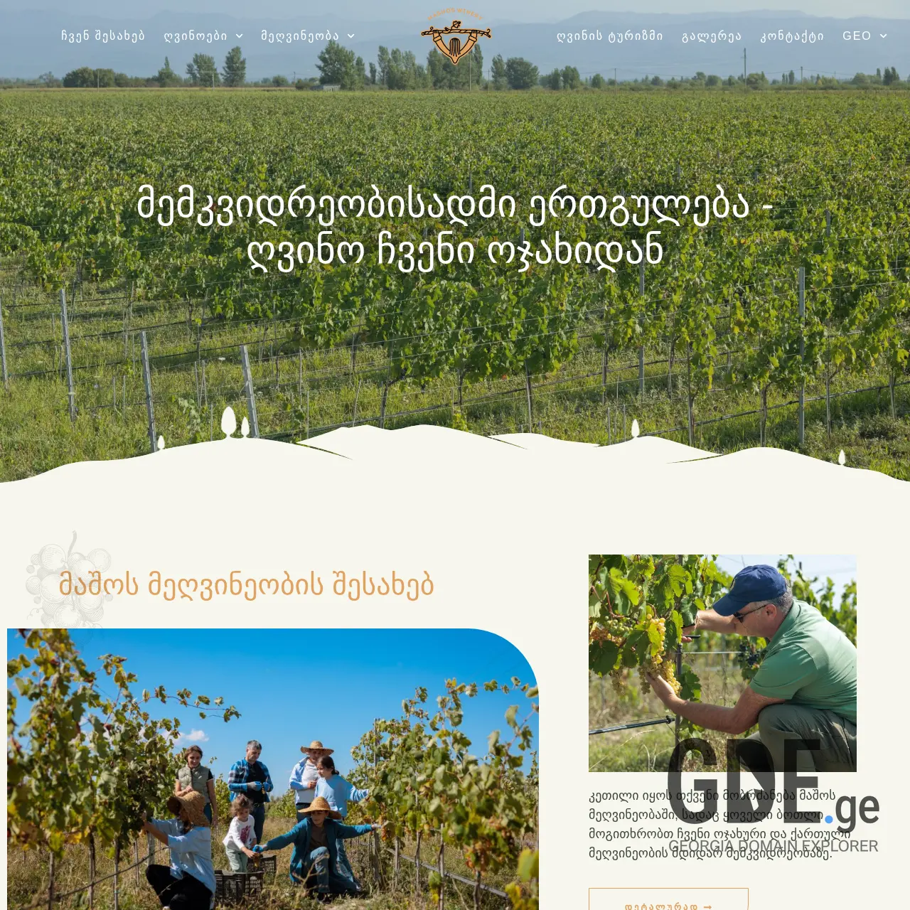 Screenshot of the site mwinery.ge at 2025-12-12