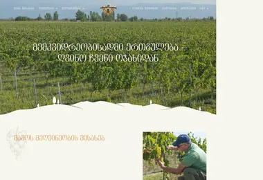 Скриншот mwinery.ge