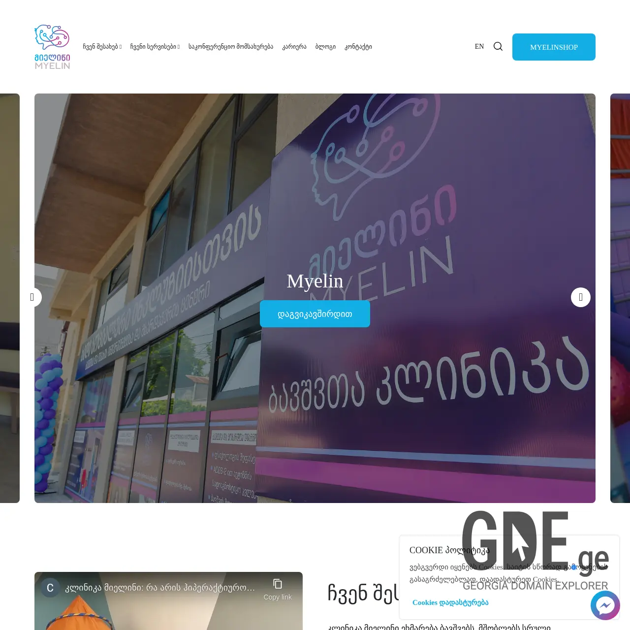 Screenshot of the site myelin.ge at 2025-12-12
