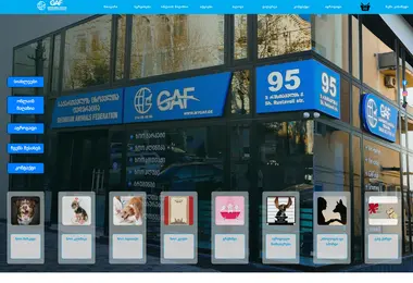 Screenshot of mygaf.ge